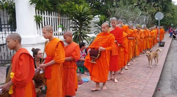 442476508_7953615531337043_1585676482436298301_n