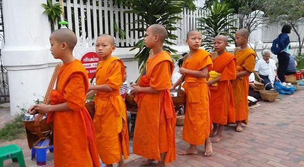 442472793_7953615468003716_601722250305010323_n