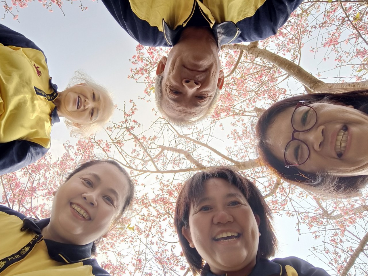 LINE_ALBUM_0317百萬興學大悲懺法會義工暨午膳賞櫻時光_240602_2